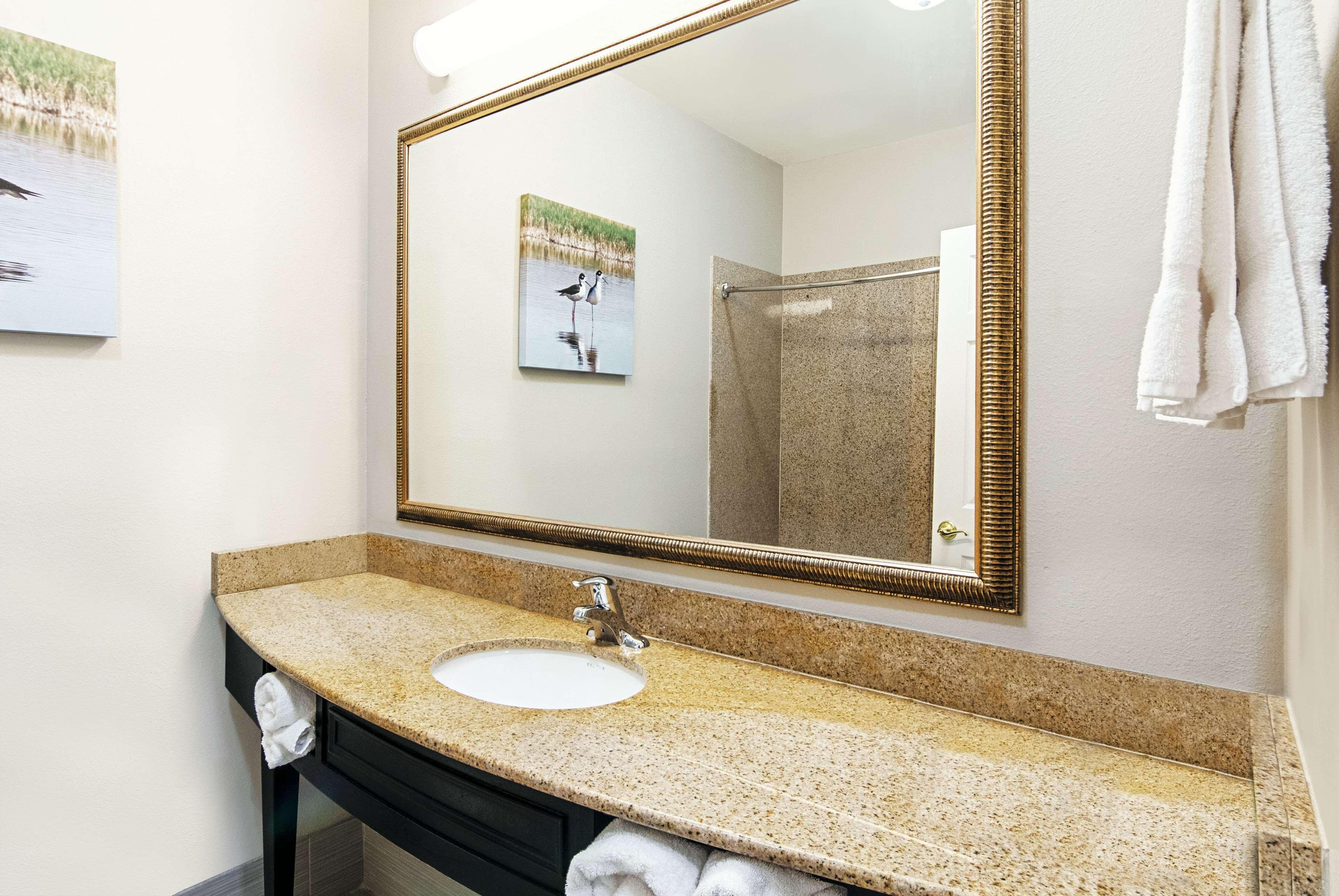 La Quinta By Wyndham Alamo-Mcallen East Zewnętrze zdjęcie